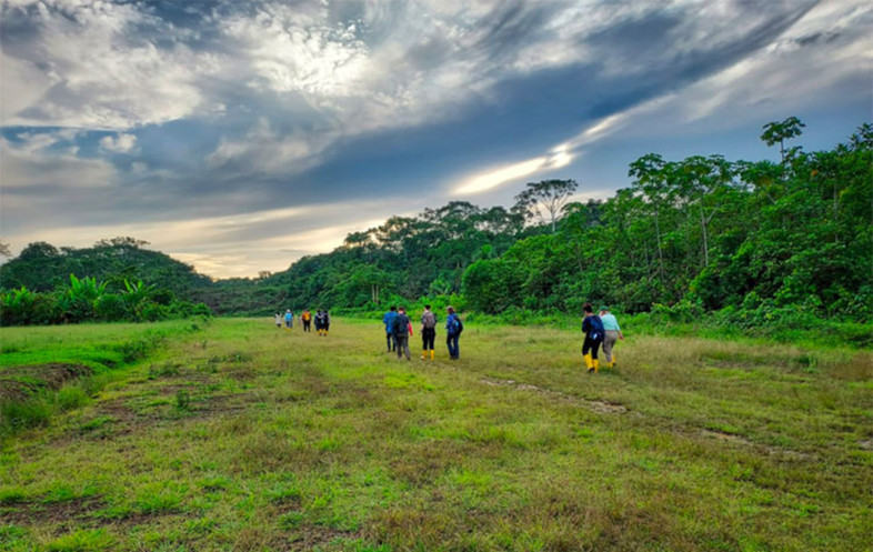 Students walking through an Ecuadorian forest