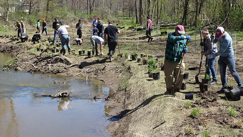 People digging holes for plants near water