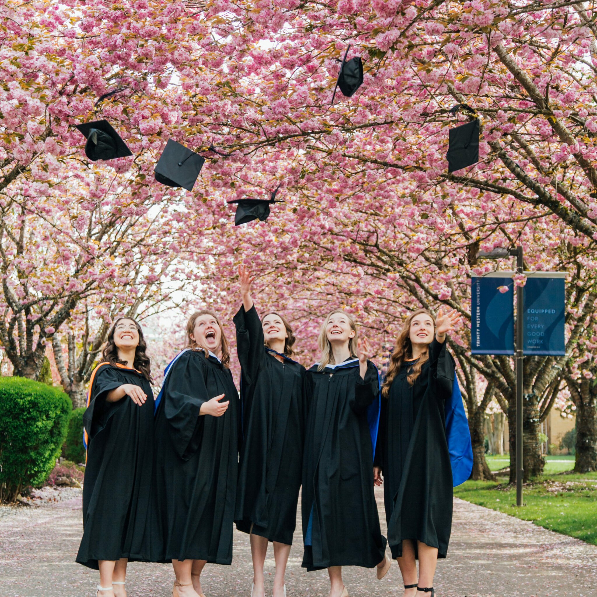 TRINITY WESTERN UNIVERSITY NURSING REQUIREMENTS visual data 6