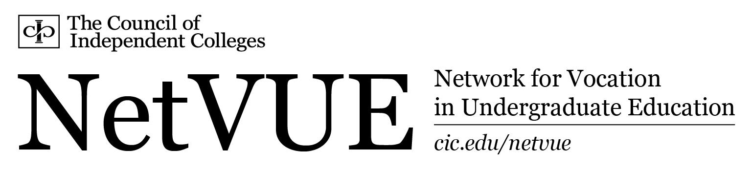 The NetVUE logo in black, without the globe icon