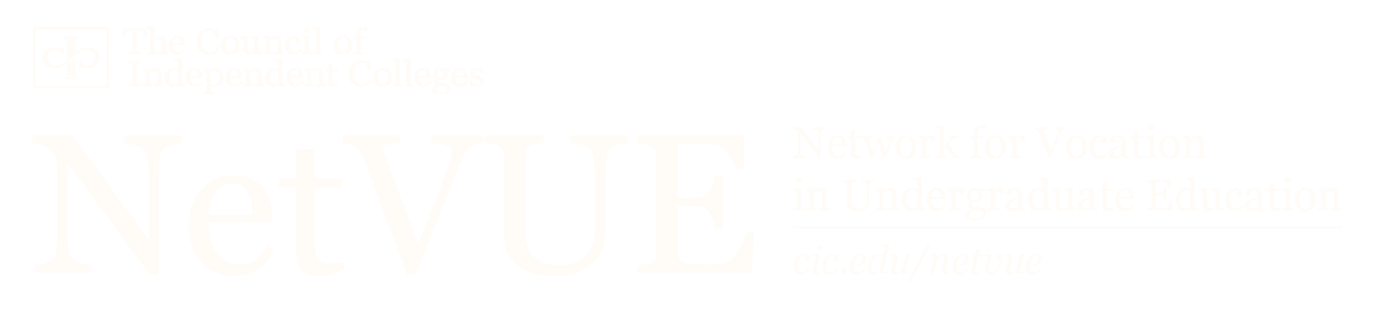 The NetVUE logo in white, without the globe icon
