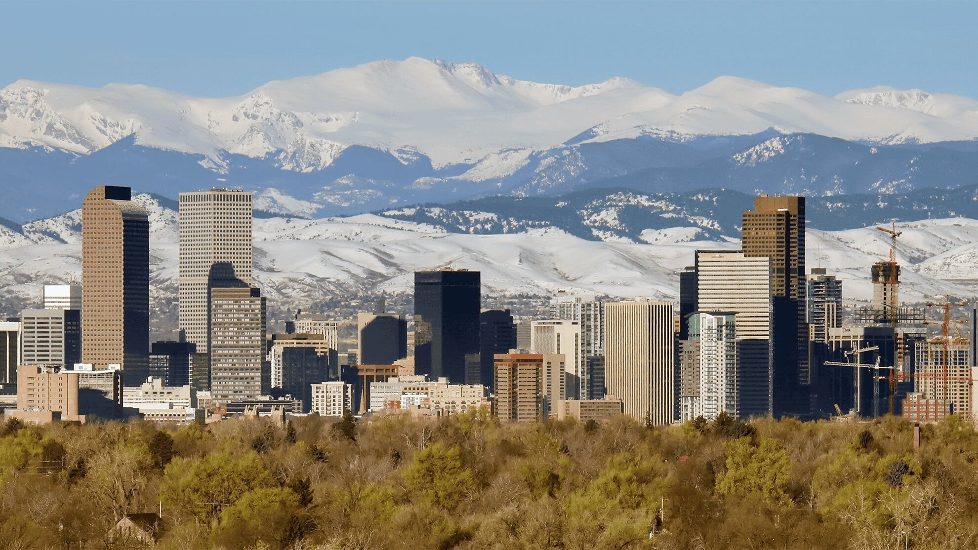 The Denver skyline