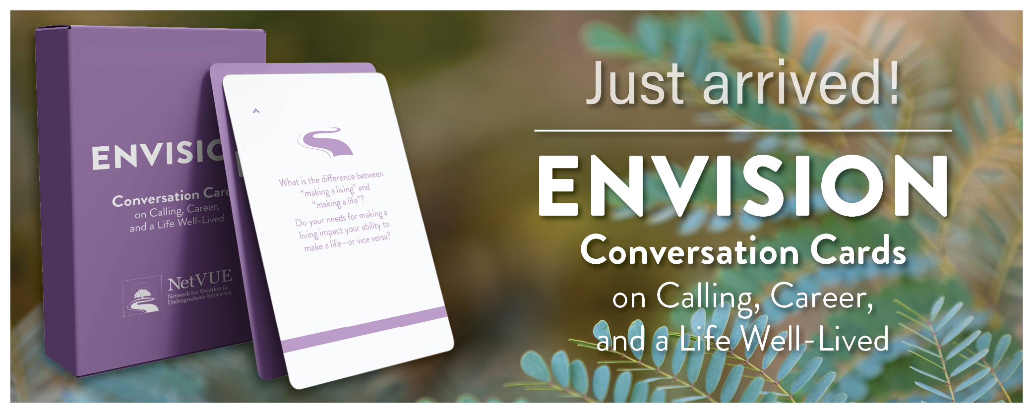 The NetVUE Envision Conversation Cards