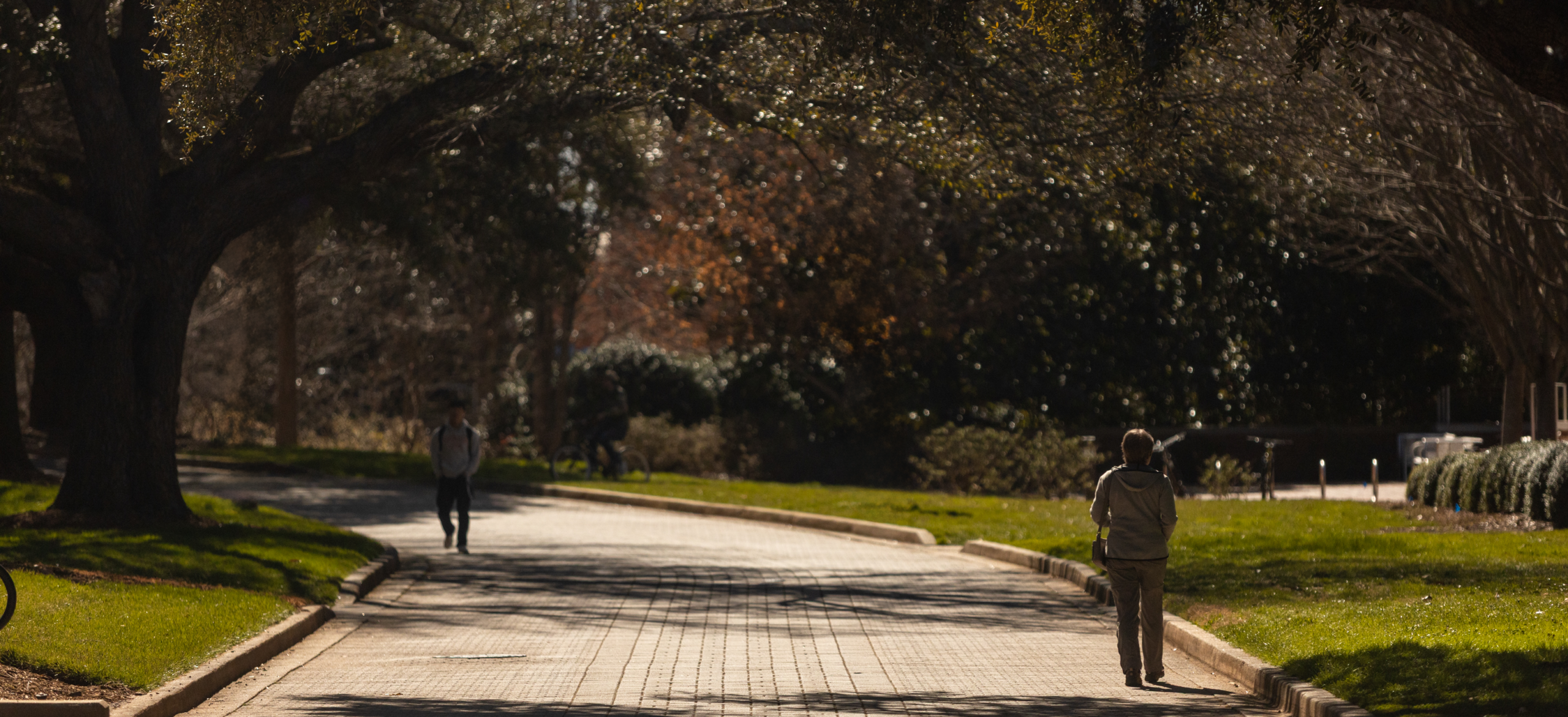Two people walking down a pathway on a college campus.